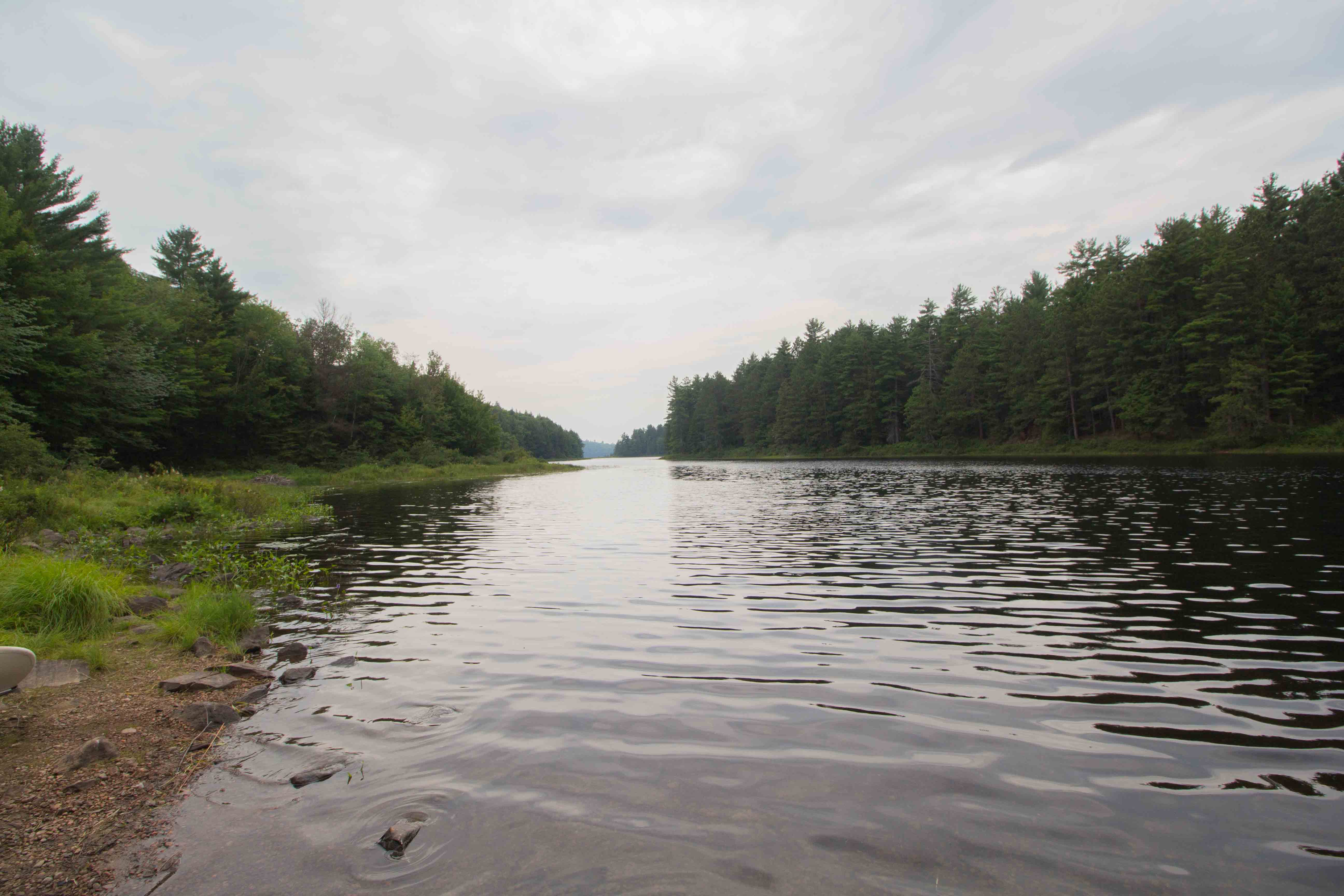 Farm Lake